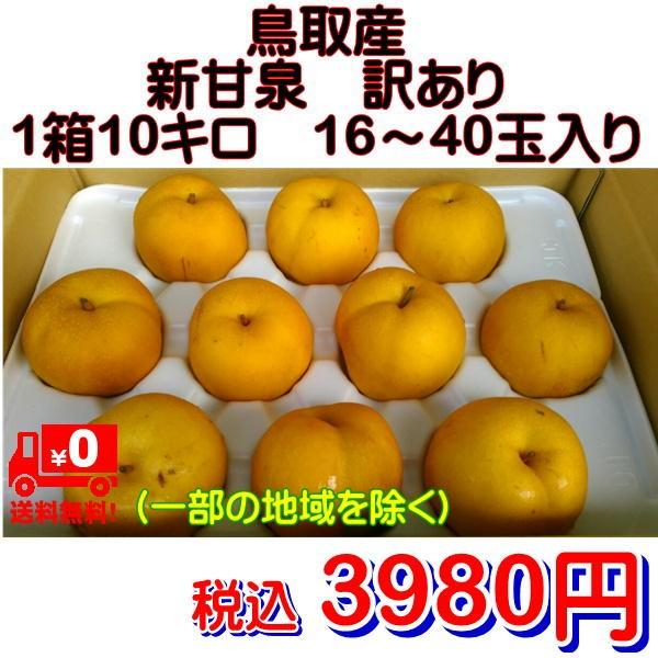 梨 新甘泉 訳あり 鳥取産 1箱10kg（16〜40玉入り） : フルーツ・甘味