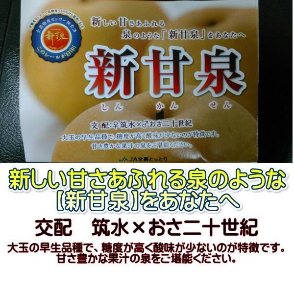 梨 新甘泉 訳あり 鳥取産 1箱10kg（16〜40玉入り） : フルーツ・甘味