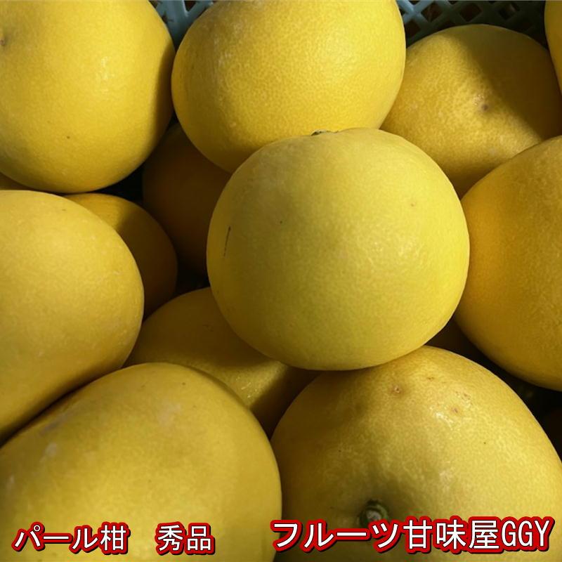 パール柑 秀品 約4キロ 文旦 土佐文旦の仲間 大橘 ブンタン 熊本 パール柑 秀品 約4キロ 文旦 土佐文旦の仲間 大橘 ブンタン 熊本