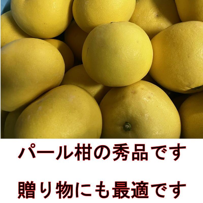 パール柑 秀品 約4キロ 文旦 土佐文旦の仲間 大橘 ブンタン 熊本 パール柑 秀品 約4キロ 文旦 土佐文旦の仲間 大橘 ブンタン 熊本