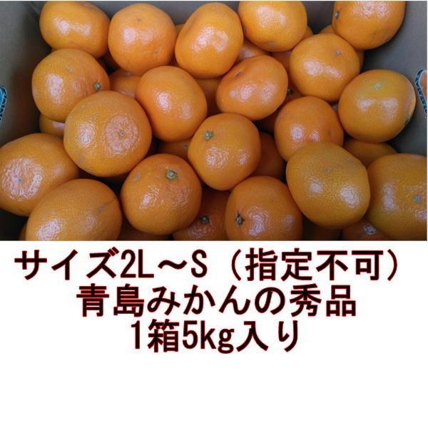 青島みかん 秀品 １箱5kg サイズ2L・L・M・S 熊本産 フルーツ グルメ