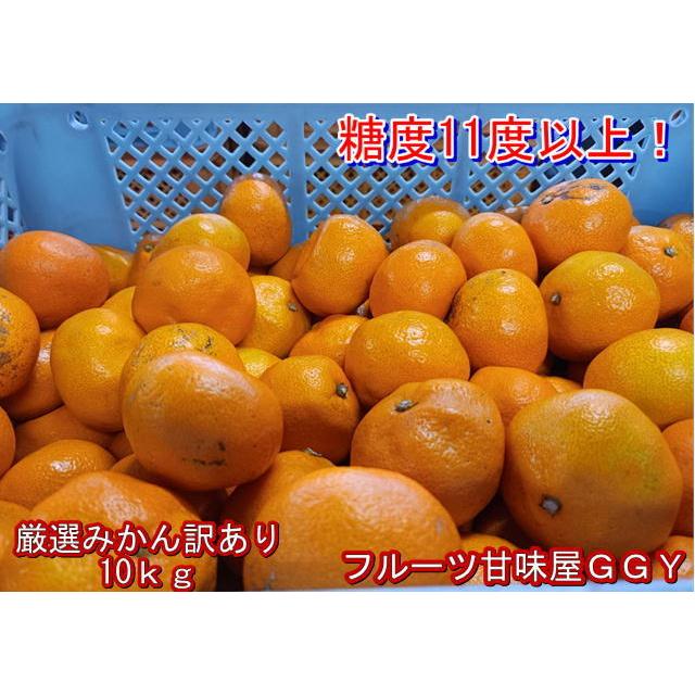 厳選みかん 訳あり 箱込10kg(9kg+保証分500g) サイズ不選別 熊本産 フルーツ グルメ :gensen-mikan-wakeari:フルーツ・甘味屋GGY - 通販 - Yahoo!ショッピング 厳選みかん 訳あり 箱込10kg(9kg+保証分500g) サイズ不選別 熊本産 フルーツ グルメ :gensen-mikan-wakeari:フルーツ・甘味屋GGY - 通販 - Yahoo!ショッピング