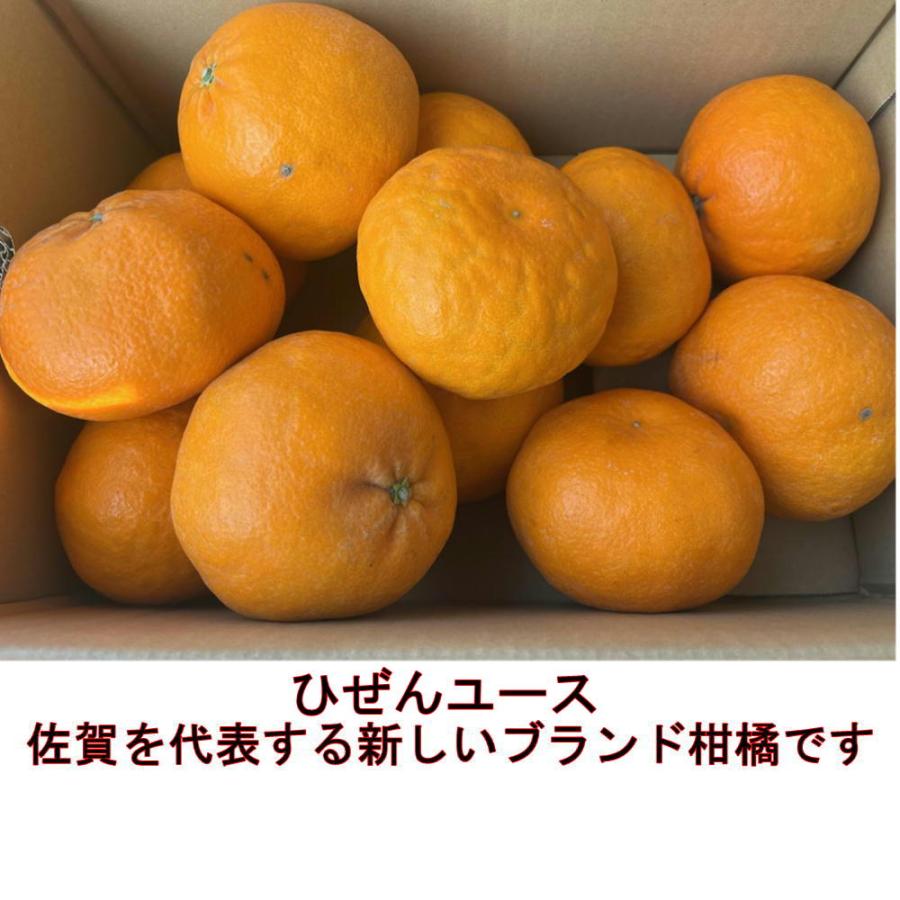 ひぜんユース 約5kg 佐賀産 みかん ミカン 柑橘類 フルーツ 80 ひぜんユース 約5kg 佐賀産 みかん ミカン 柑橘類 フルーツ 80
