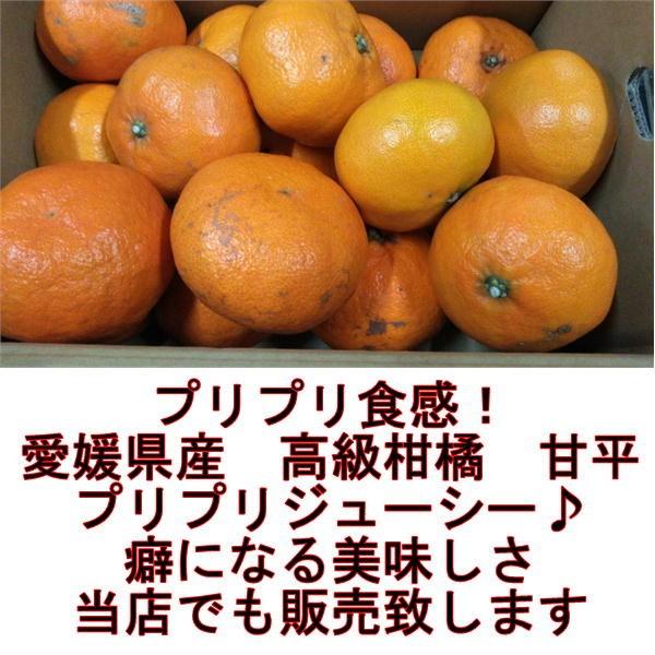 甘平　訳あり　サイズ4L〜S　約５kg　愛媛産　サイズ指定不可　80サイズ みかん ミカン 蜜柑｜fruitkanmiya-ggy｜02