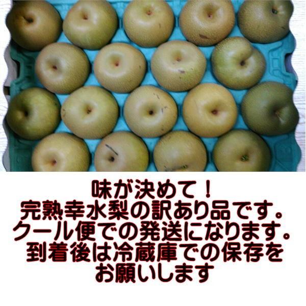 完熟 幸水梨 訳あり 熊本産 1箱 約5kg（約8〜24玉）【クール便発送