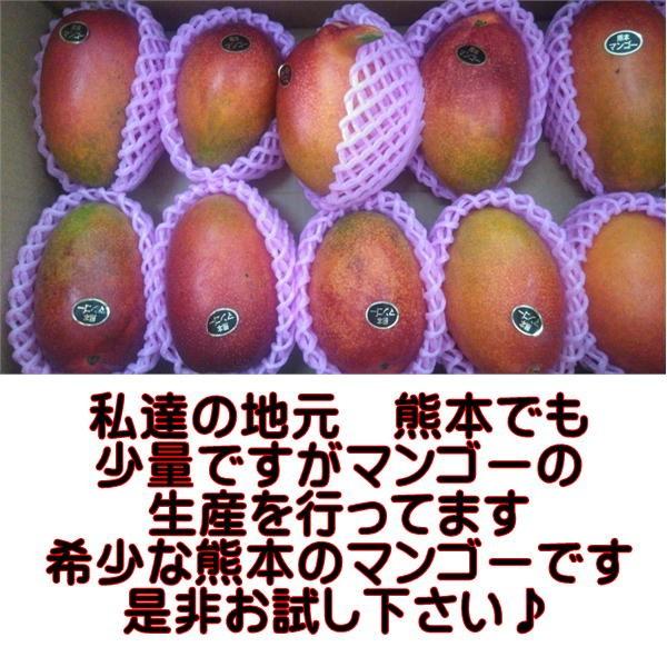 熊本マンゴー　訳あり　約5ｋｇ【規格外】加工用　熊本産　メガ盛り　クール便発送｜fruitkanmiya-ggy｜02