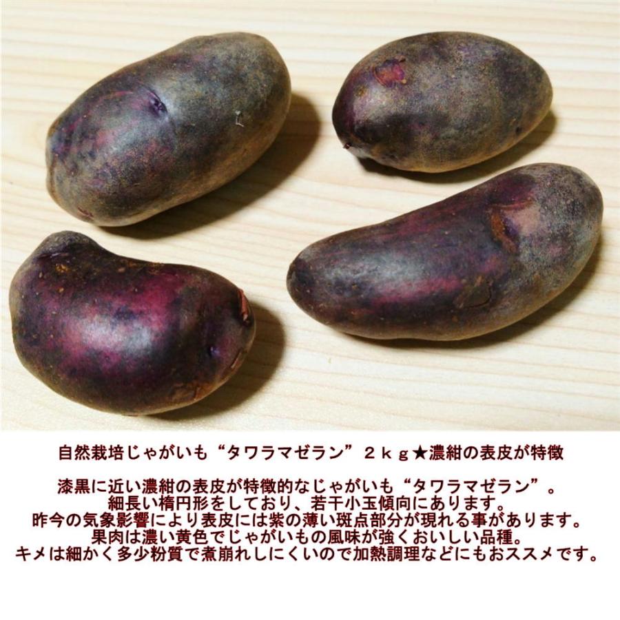 自然栽培じゃがいも マゼラン 約2キロ 山口さんのこだわり栽培 無農薬