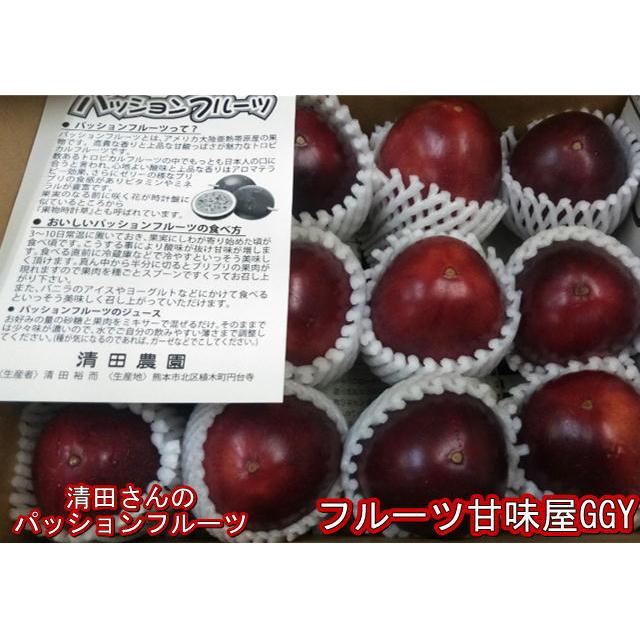 定価 パッションフルーツ 約1ｋｇ 約9〜15玉 熊本産 清田さんのパッションフルーツ 60サイズ ベビーグッズも大集合