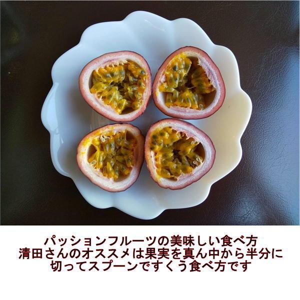 熊本県産訳ありパッションフルーツ100個 【公式通販】