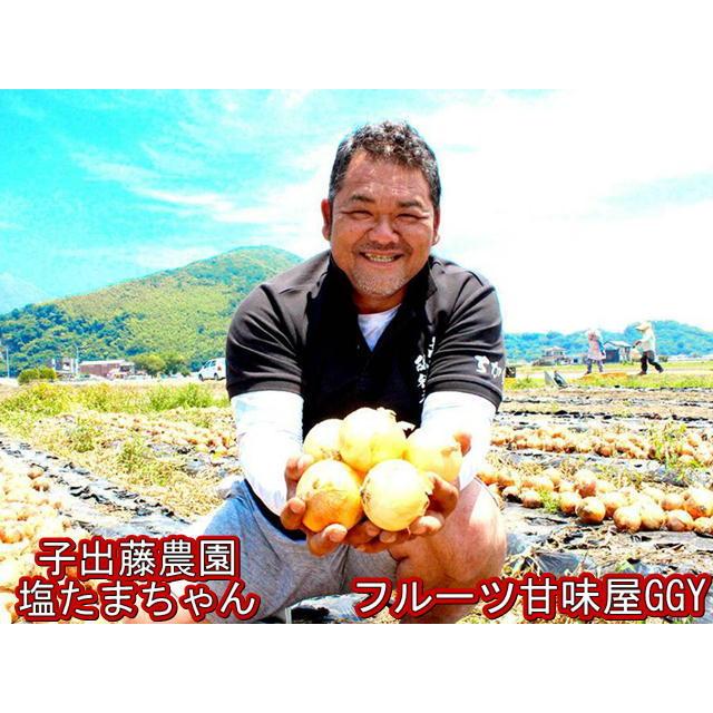 塩たまちゃん 訳あり 箱込10kg 子出藤農園 TV 鉄腕ダッシュで紹介