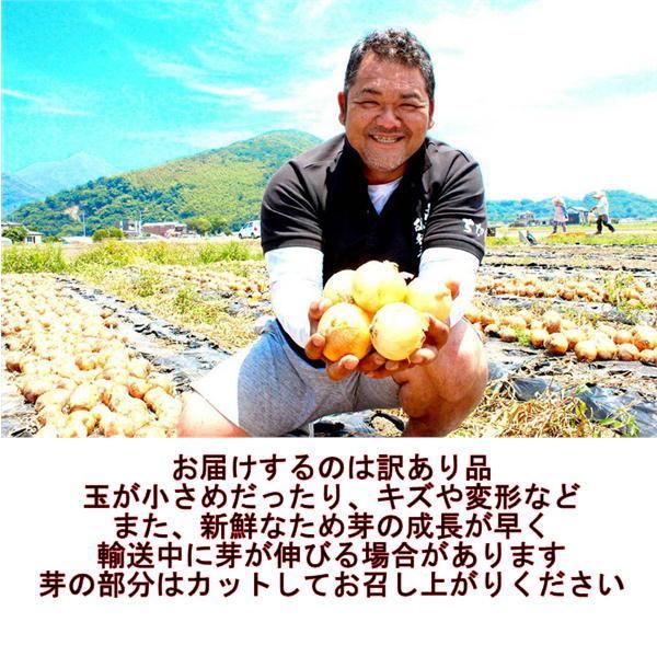 【たまちゃんのみ】 塩たまちゃん 訳あり 箱込10kg 子出藤農園 TV 鉄腕ダッシュで紹介