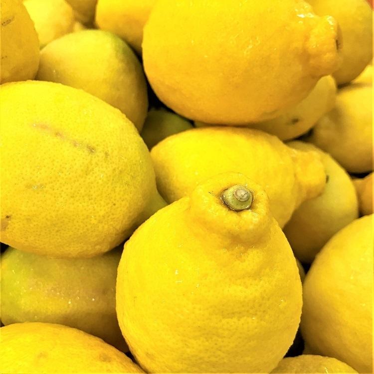 冷食 フルーツ レモン 2kg 1kgX2P 冷凍保存 カット 果物 氷 おうち時間 家飲み