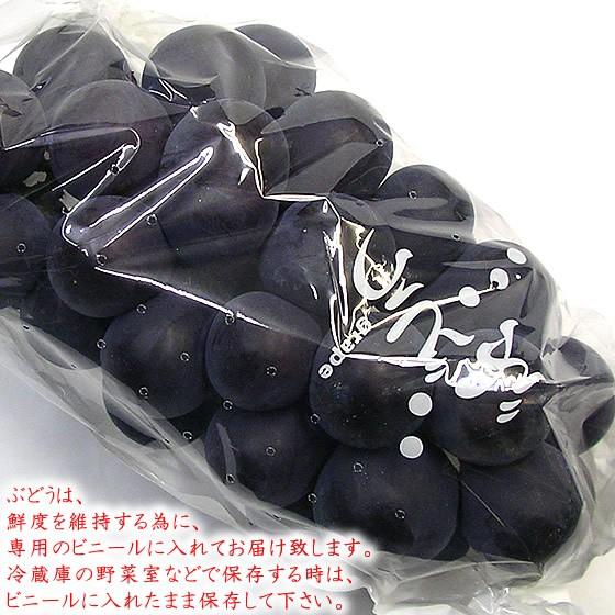 山梨県産 ぶどう 詰め合わせ おまかせ3種類セット 4kg 送料無料一部
