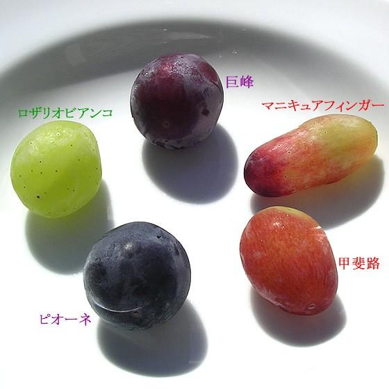 ぶどう 詰め合わせ おまかせ3種類セット 2kg 山梨県産 特産品 産地直送