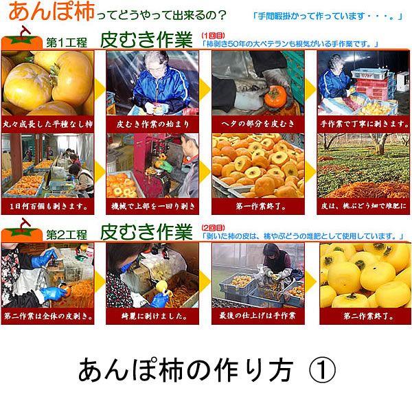 お歳暮 2024 フルーツギフト 高級あんぽ柿 山梨県産 特産品 お歳暮 2024 フルーツギフト 高級あんぽ柿 山梨県産 特産品