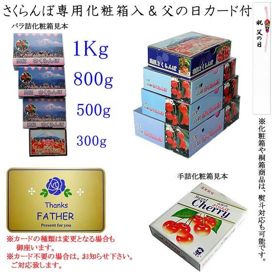 父の日 プレゼント ギフト さくらんぼ サクランボ 佐藤錦 Lサイズ 1kg