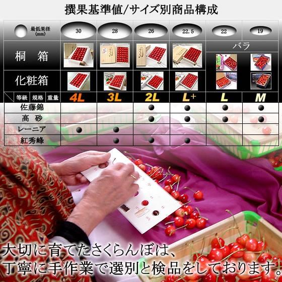朝顔に鮎 秀峰 箱付き 楽天市場】盆提灯 なごみあかり 朝顔(あさがお) 回転筒付 電気