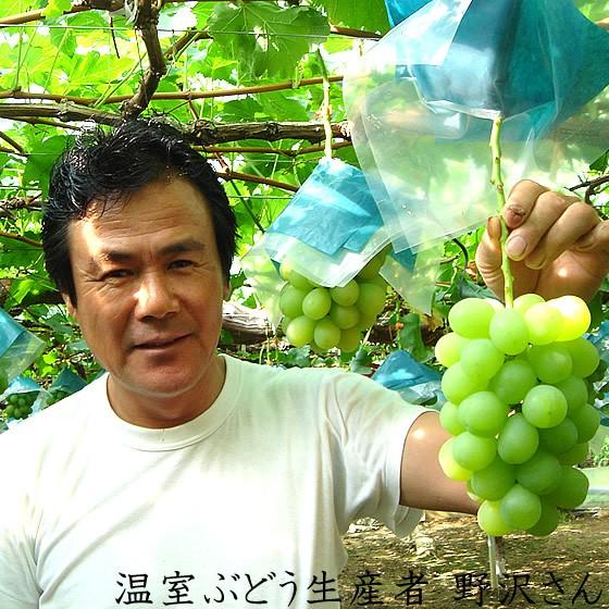 ハウスシャインマスカット 山梨県産 贈答用 秀 2房入 約1Kg お中元