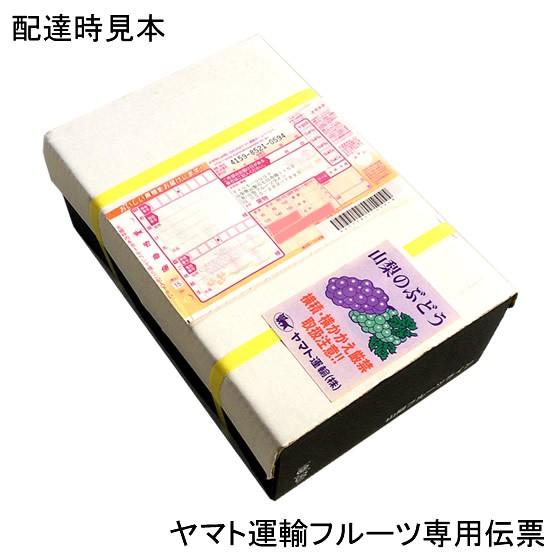 ハウスシャインマスカット 山梨県産 贈答用 秀 2房入 約1Kg お中元