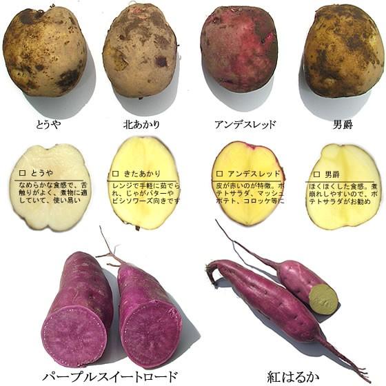 ジャガイモ とうや 無農薬無化学肥料栽培野菜 山梨県産 Jyaga 2 フルーツライン 通販 Yahoo ショッピング