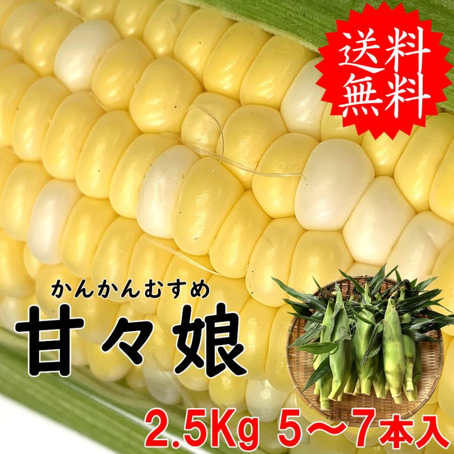 父の日 お中元 ギフト 山梨県産 とうもろこし トウモロコシ 甘々娘 かんかん娘 ドルチェドリーム 2L〜L 5〜7本入 約2.5Kg 送料無料 ※一部地域を除く（Yahoo!・フルーツライン）