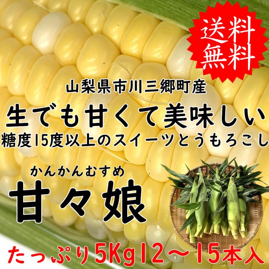 山梨県産 とうもろこし トウモロコシ 甘々娘 かんかん娘 L 2l 15 12本入 約5kg 送料無料 一部地域を除く Kankanmusume フルーツライン 通販 Yahoo ショッピング