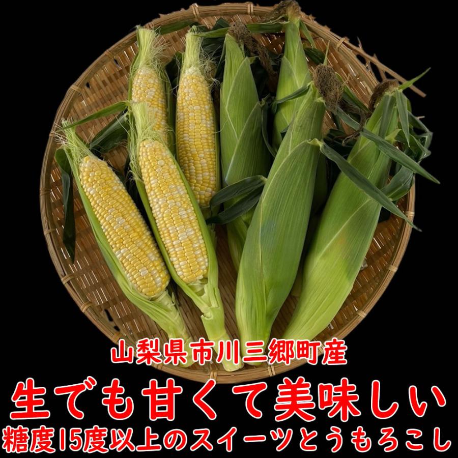 父の日 お中元 ギフト 山梨県産 とうもろこし トウモロコシ 甘々娘