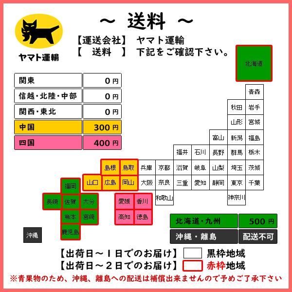 干し柿 甲州百目柿 ころ柿 枯露柿 山梨県産 特1号(大箱) 12〜20個入 約