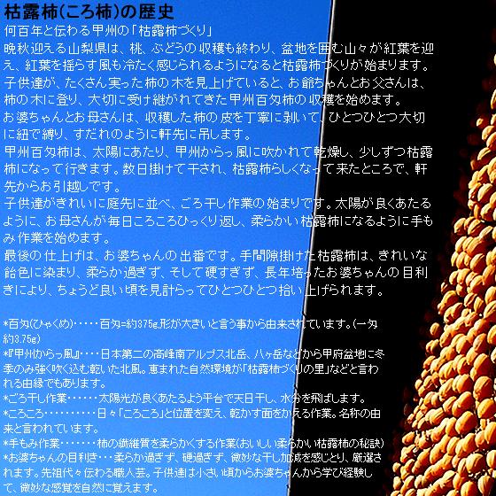 干し柿 甲州百目柿 ころ柿 枯露柿 山梨県産 特1号(大箱) 12〜20個入 約
