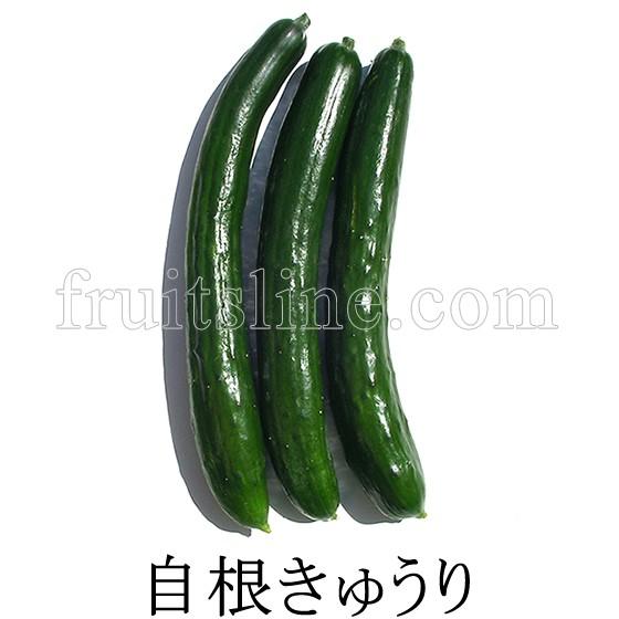 自根きゅうり 無農薬無化学肥料栽培野菜 山梨県産 Kyuri 1 フルーツライン 通販 Yahoo ショッピング