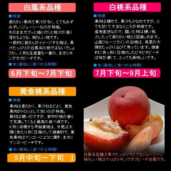お中元 21 桃 ギフト 贈答用 山梨県産 白鳳 白桃 黄金桃 特秀 1kg 送料無料 一部地域を除く Peach 1 フルーツライン 通販 Yahoo ショッピング
