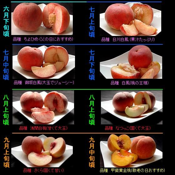 お中元 21 桃 ギフト 贈答用 山梨県産 白鳳 白桃 黄金桃 特秀 1kg 送料無料 一部地域を除く Peach 1 フルーツライン 通販 Yahoo ショッピング