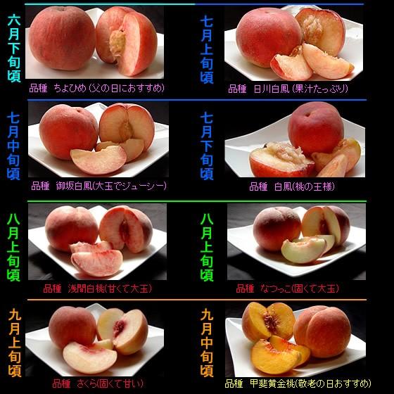 父の日 プレゼント ギフト お中元 桃 山梨 果物 フルーツ 白鳳 白桃 甲斐黄金桃 特秀 2kg のし対応可 送料無料 一部地域を除く｜fruits-line｜10