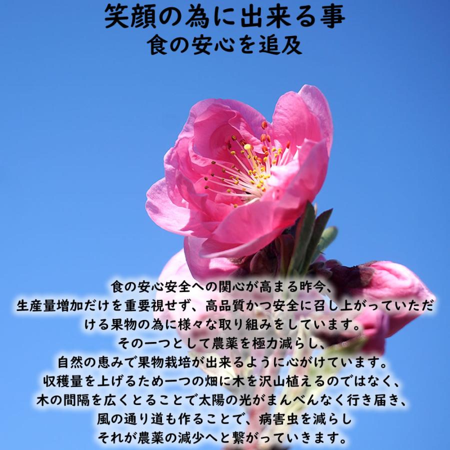 敬老の日 ギフト 桃 山梨 甲斐黄金桃 特秀 約2kg 5〜8個入 送料無料※一