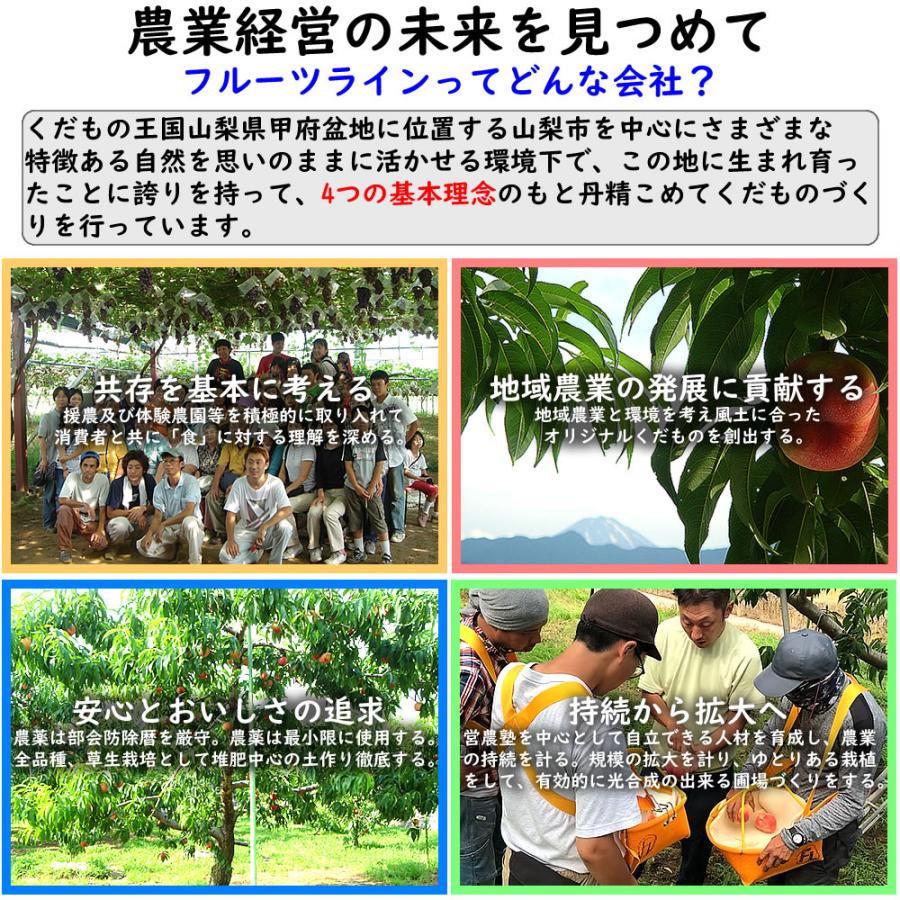 桃　山梨の桃　家庭用　5kg箱2枚 もも 山梨の桃 5kg 山梨産 ご家庭用 送料無料 食品 : 食みらい・国華園