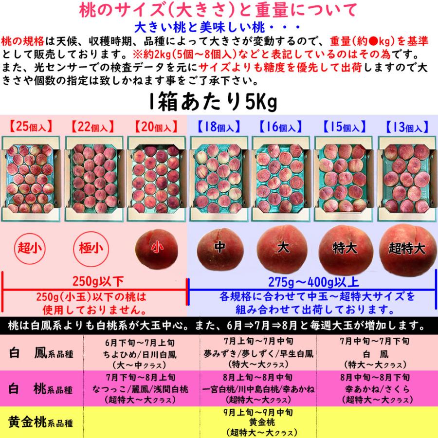 敬老の日 ギフト 桃 山梨 甲斐黄金桃 特秀 約5kg 13〜18個入 送料無料