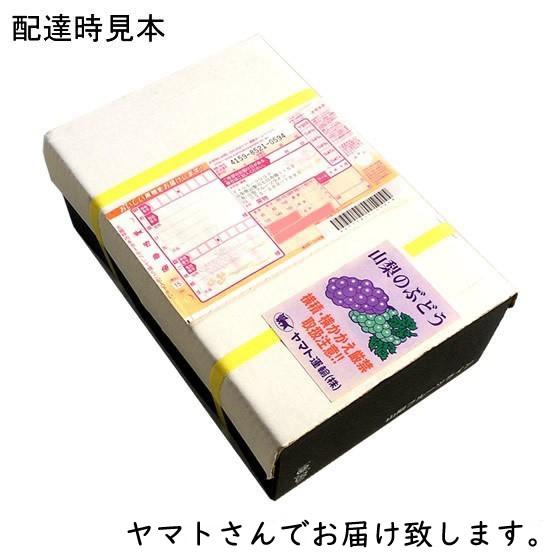 サンシャインレッドとシャインマスカット 山梨県産 ぶどう詰め合わせ