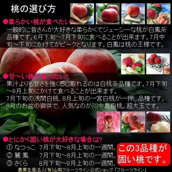 桃 敬老の日 プレゼント ギフト 山梨県産 甲斐黄金桃 特秀 1.5kg 送料無料 一部地域を除く｜fruits-line｜09