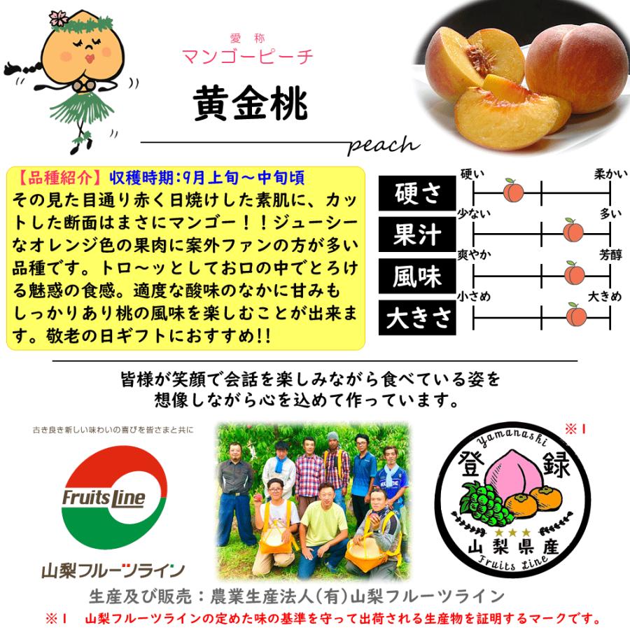 桃 敬老の日 プレゼント ギフト 山梨県産 甲斐黄金桃 特秀 2kg 5
