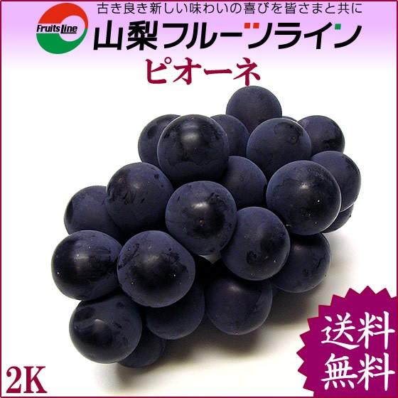 ピオーネ 2kg 秀品 満杯詰 山梨県産 種なしぶどう 産地直送 送料無料一