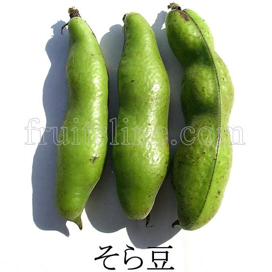 そら豆 無農薬無化学肥料栽培野菜 山梨県産 Soramame フルーツライン 通販 Yahoo ショッピング
