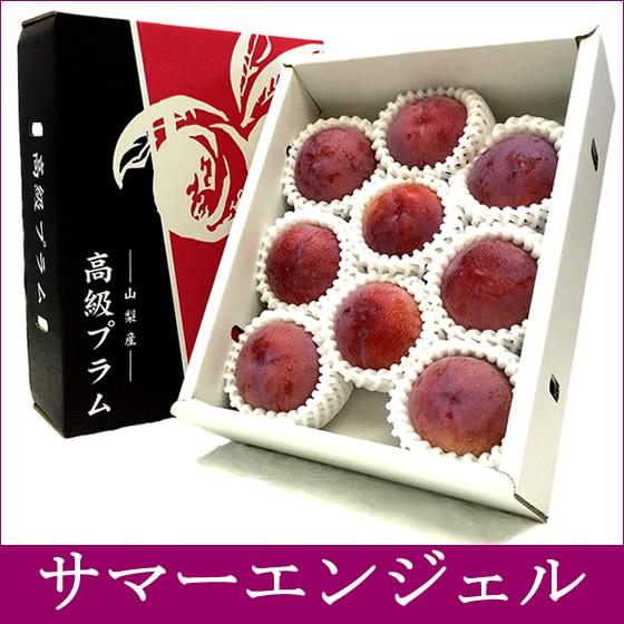 サマーエンジェル 山梨県推奨プラム すもも スモモ お中元 御中元