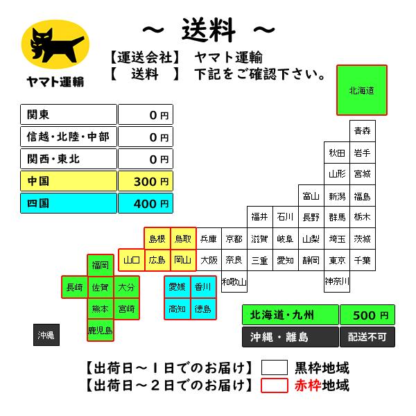 サマーエンジェル 山梨県推奨プラム すもも スモモ お中元 御中元