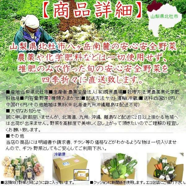 野菜セット 農家直送 山梨県産 無農薬 無化学肥料栽培 野菜7品目詰め合わせ 送料無料 一部地域を除く｜fruits-line｜02