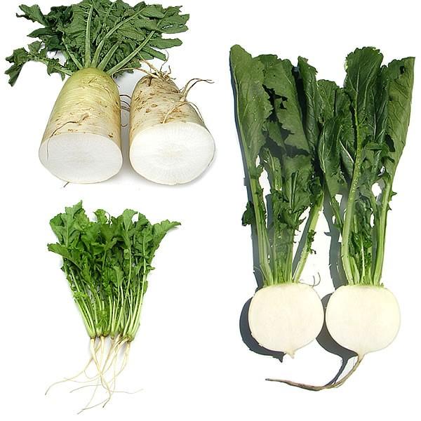 野菜セット 農家直送 山梨県産 無農薬 無化学肥料栽培 野菜7品目詰め合わせ 送料無料 一部地域を除く :vegetables:フルーツライン - 通販 - Yahoo!ショッピング 野菜セット 農家直送 山梨県産 無農薬 無化学肥料栽培 野菜7品目詰め合わせ 送料無料 一部地域を除く :vegetables:フルーツライン - 通販 - Yahoo!ショッピング