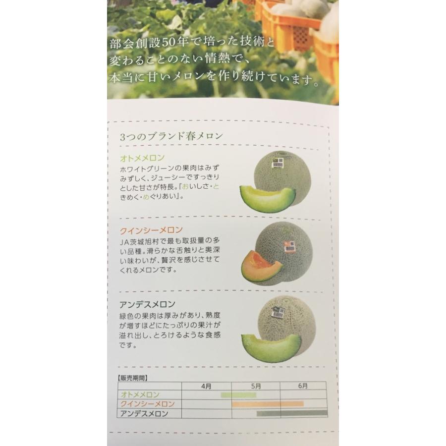アンデスメロン 茨城産 特秀品 糖度16度以上選果 3〜5玉入り