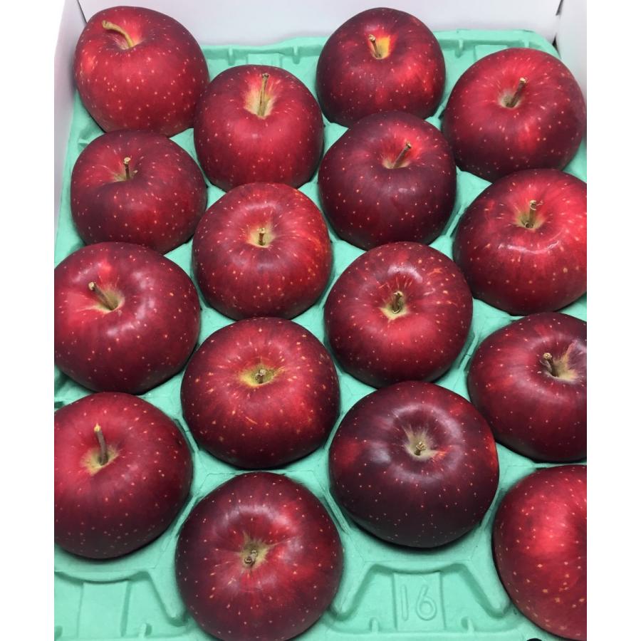 りんご 紅ロマン 岩手産 16~20玉 秀品 江刺 : 果物専門店 フルーツ千里 - 通販 - Yahoo!ショッピング