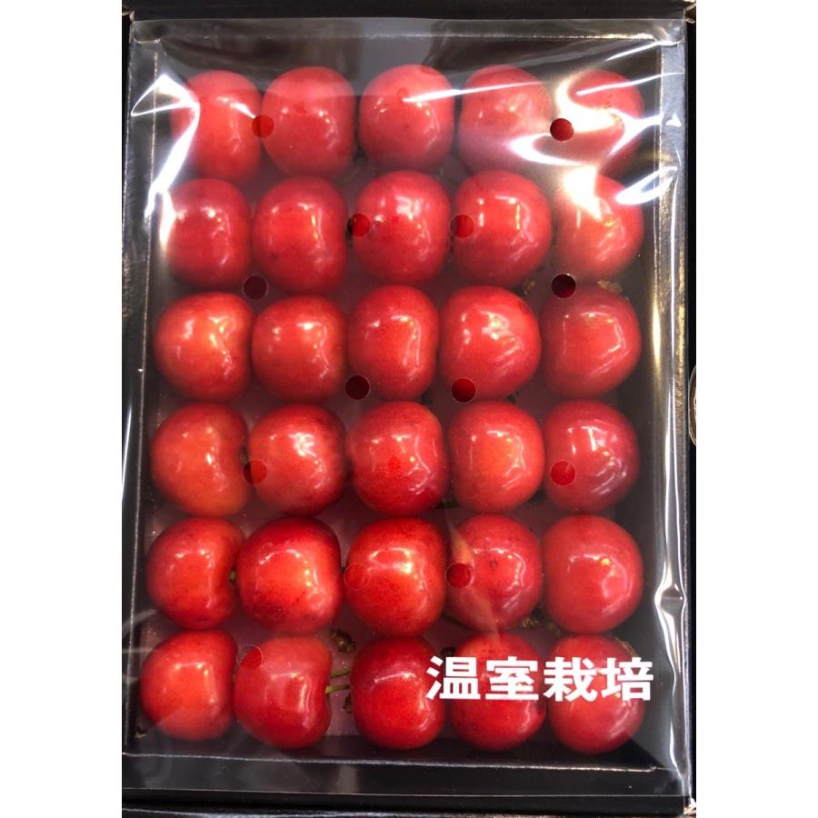 さくらんぼ 紅秀峰 山形産 特秀大粒 4L 化粧箱 300g : 果物専門店