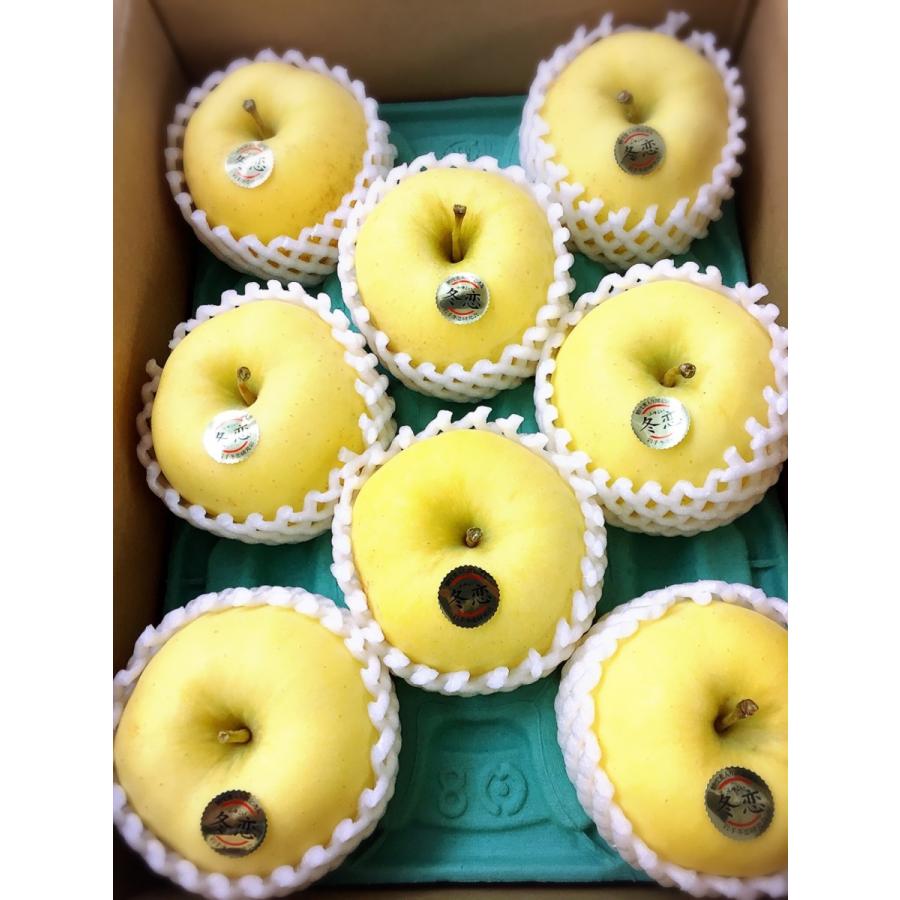 りんご 冬恋りんご 蜜入り ふゆこい 岩手産 秀品 7 １２玉入り ２ ５ｋｇ Fuyukoi812 果物専門店 フルーツ千里 通販 Yahoo ショッピング