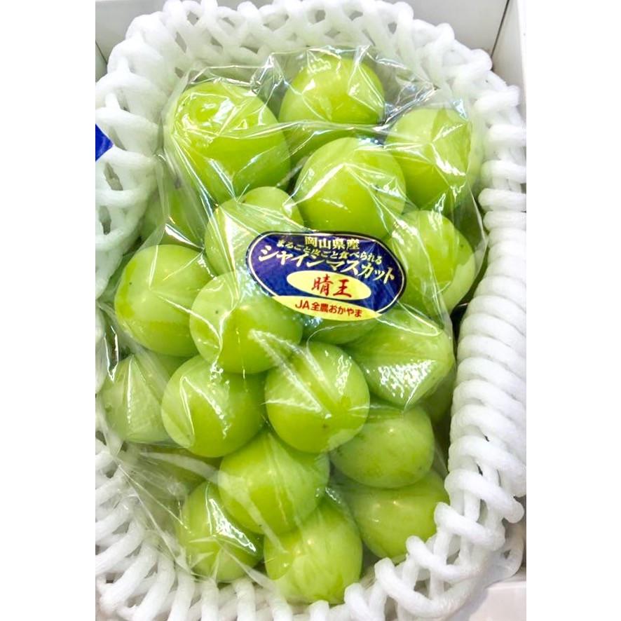 ぶどう シャインマスカット 晴王 はれおう 岡山産 皮ごと食べられる  